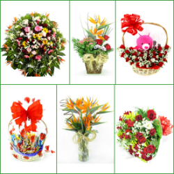 FLORICULTURAS Carandaí, cestas de café da manhã e coroas de flores MG